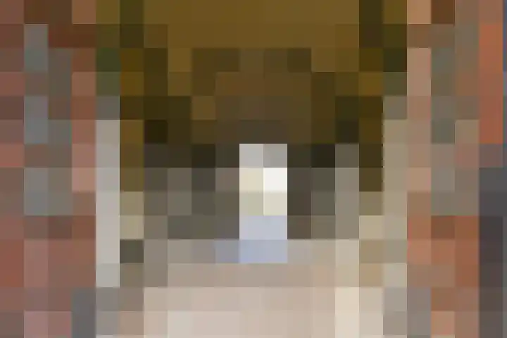 Helmersplantsoen 5 Amsterdam thumbnail 23