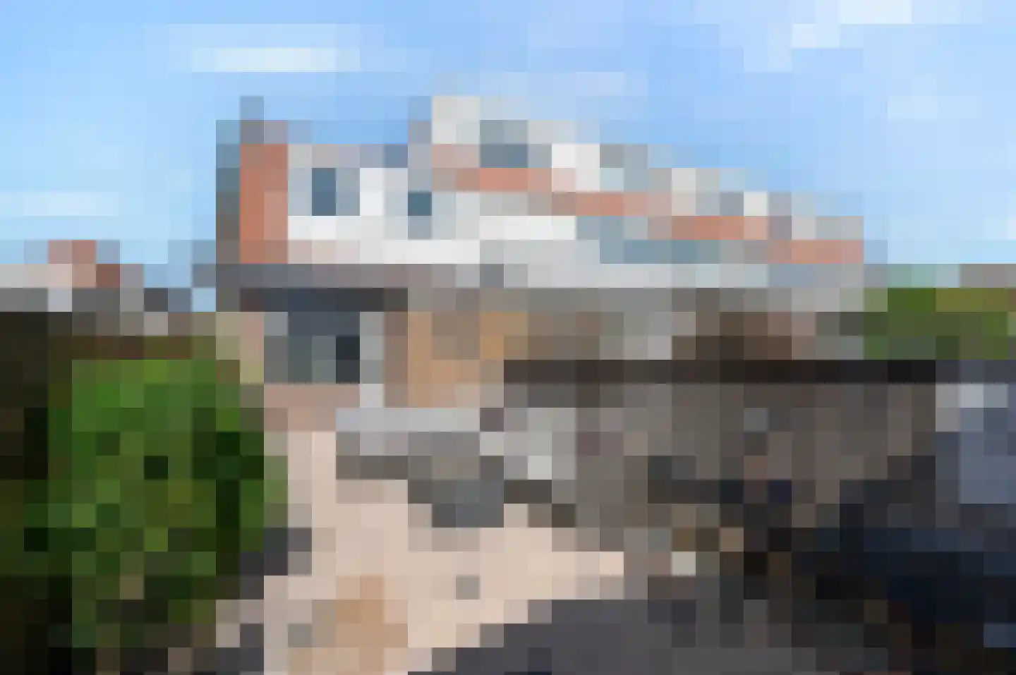 Helmersstraat 17 Gouda thumbnail 17