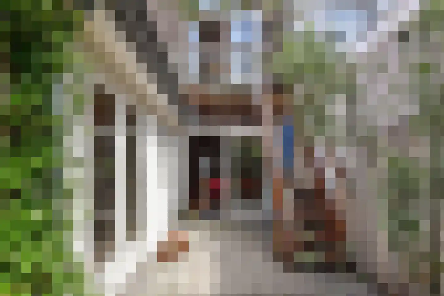 Helmersstraat 98 Den Haag thumbnail 12