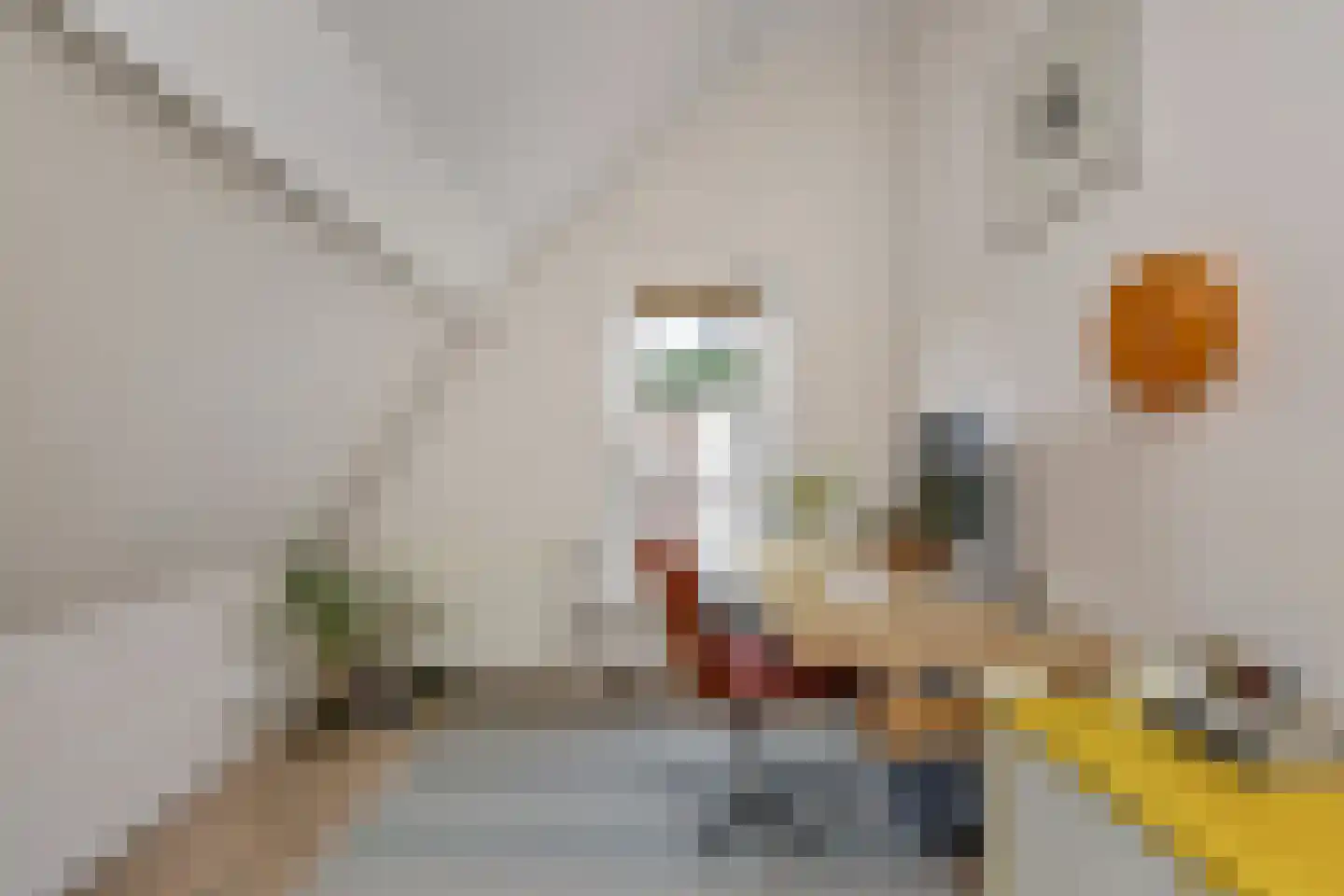 Helmersstraat 98 Den Haag thumbnail 41