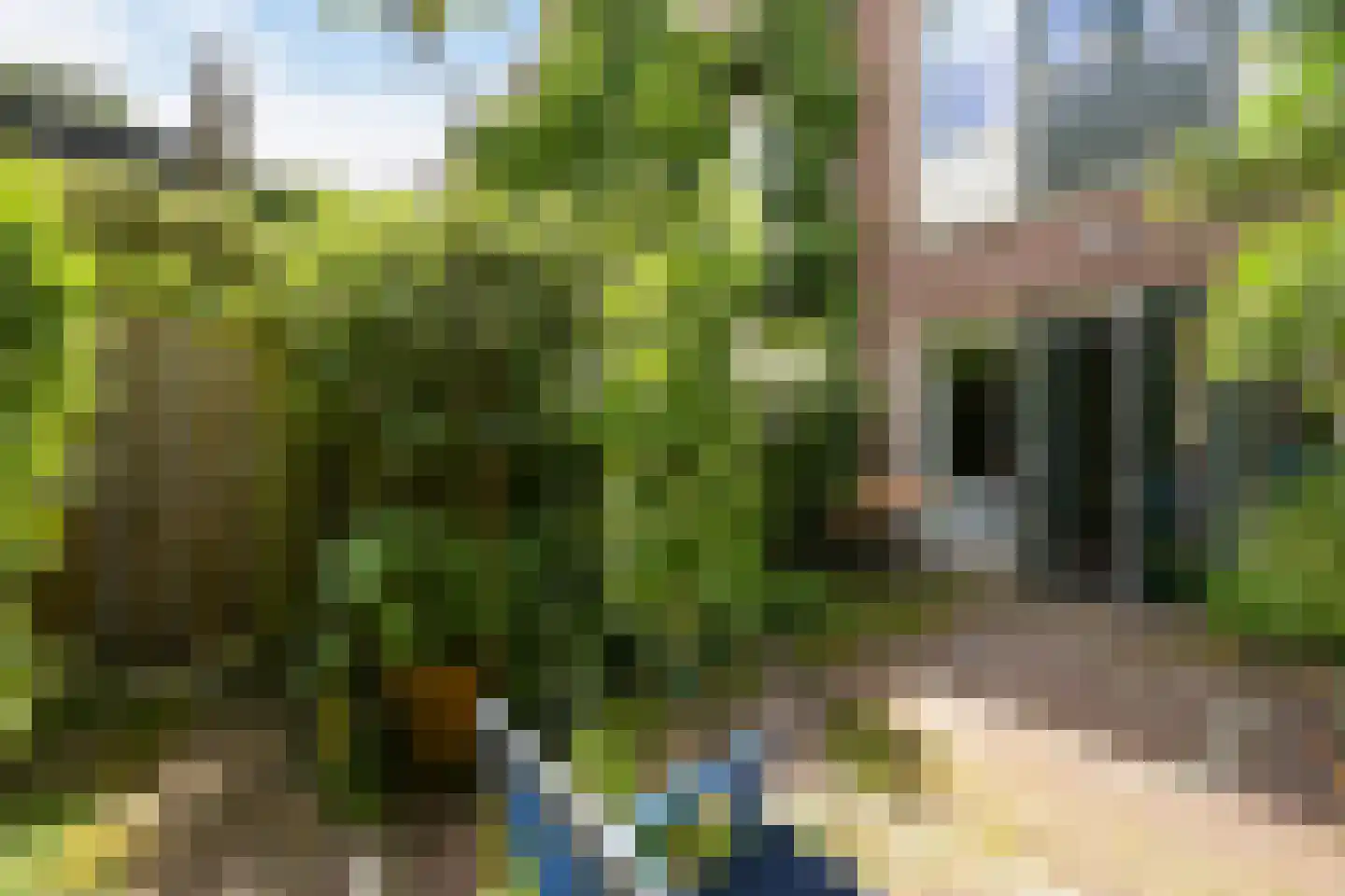 Helmersstraat 99 Den Haag thumbnail 24