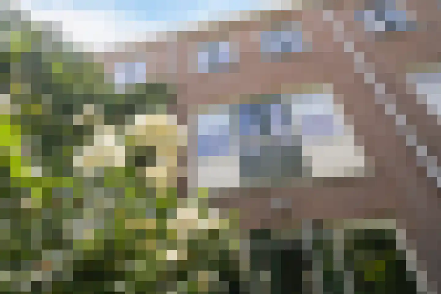 Helmersstraat 99 Den Haag thumbnail 25