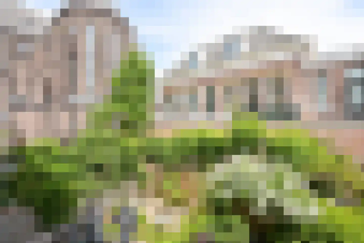 Helmersstraat 99 Den Haag thumbnail 37