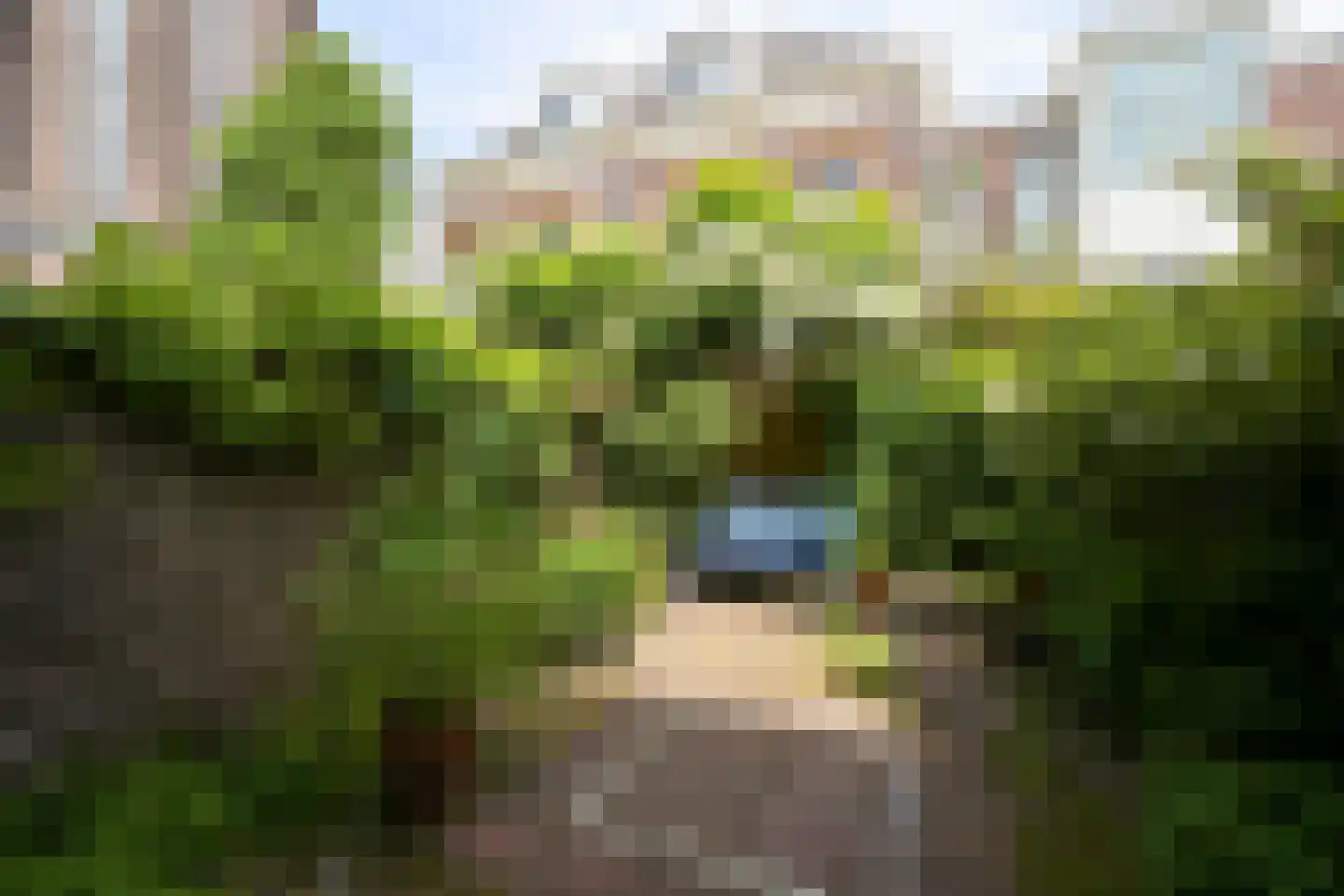 Helmersstraat 99 Den Haag thumbnail 4