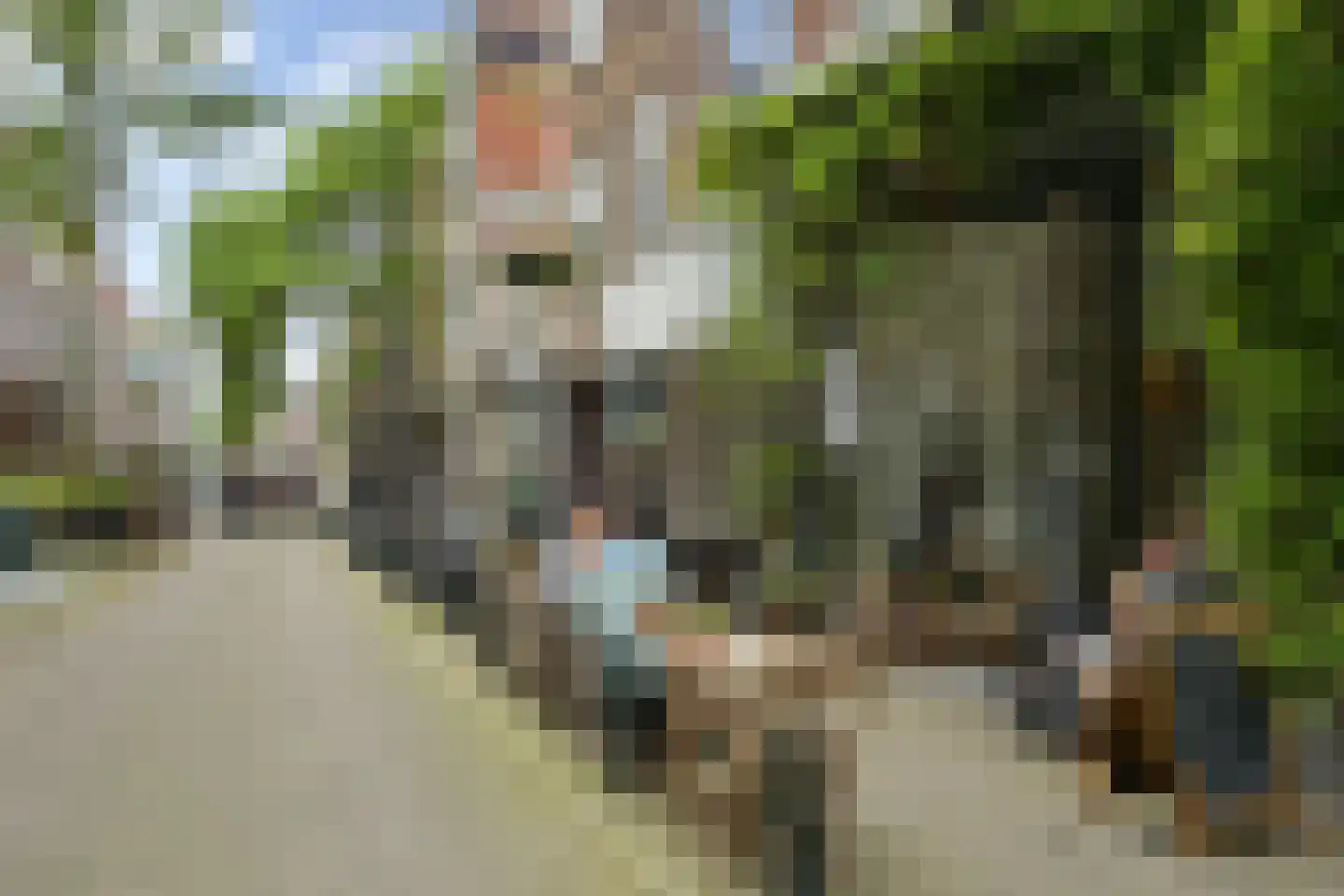 Helmersstraat 99 Den Haag thumbnail 56