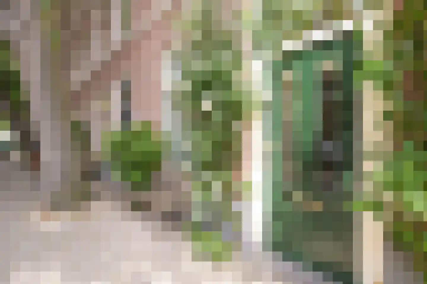 Helmersstraat 99 Den Haag thumbnail 7