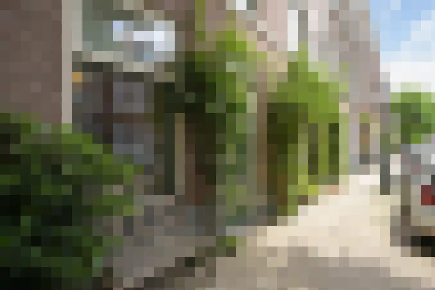 Helmersstraat 99 Den Haag thumbnail 8