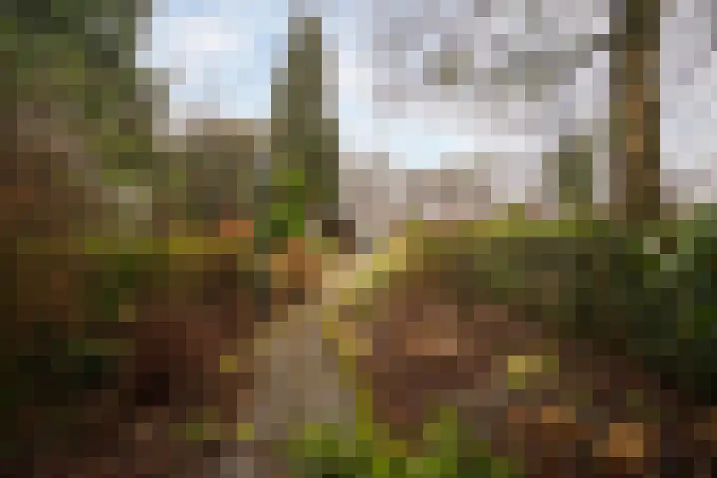 Helmerzijdeweg 82 Enschede thumbnail 4