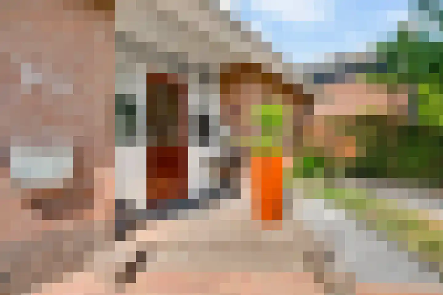 Helmesstraat 12 a Horst thumbnail 13