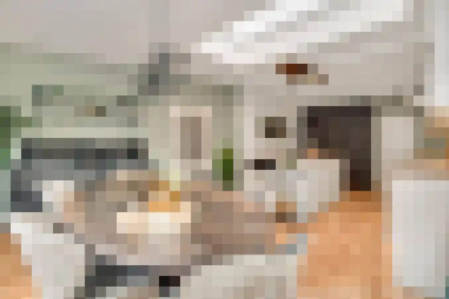 Helmesstraat 12 a Horst thumbnail 29