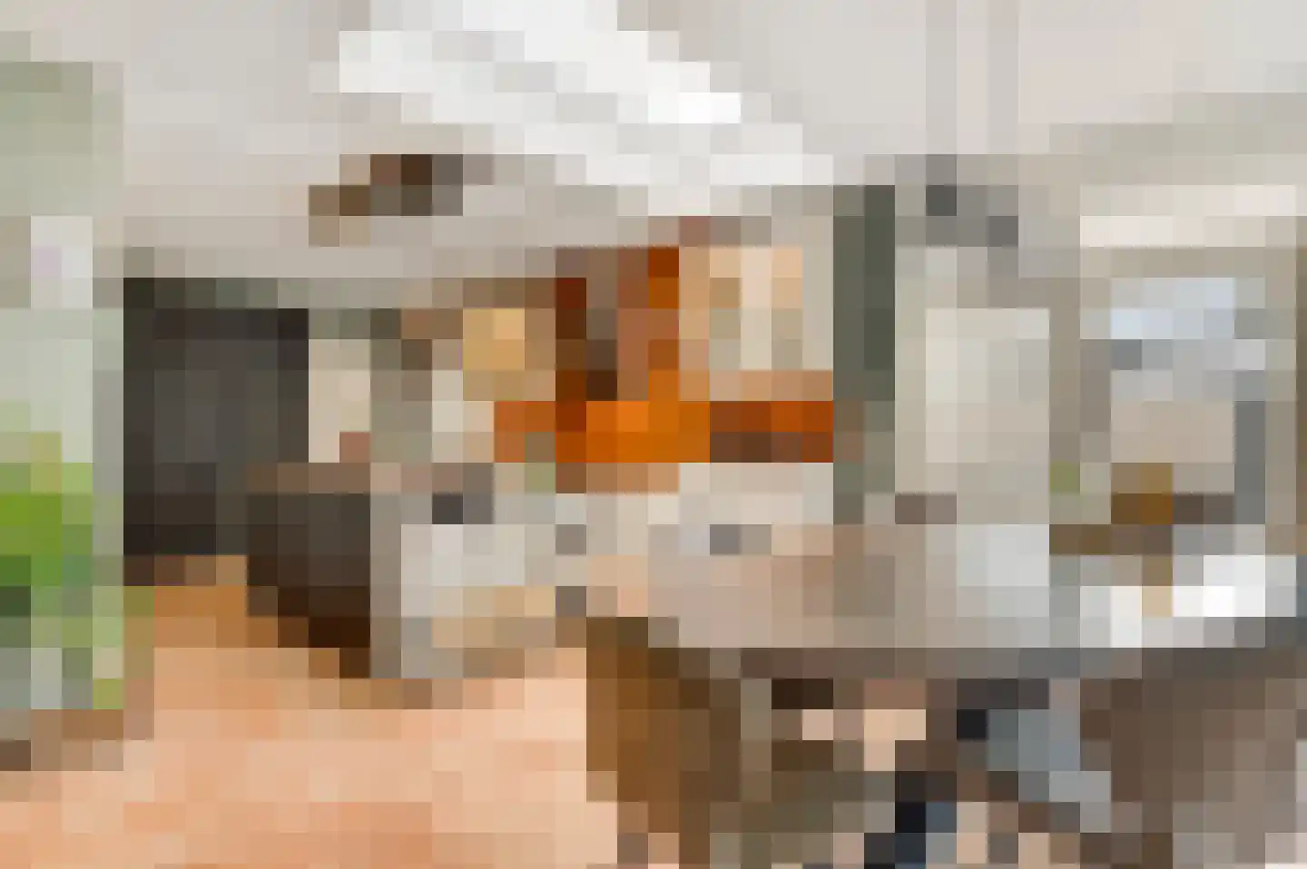 Helmesstraat 12 a Horst thumbnail 30