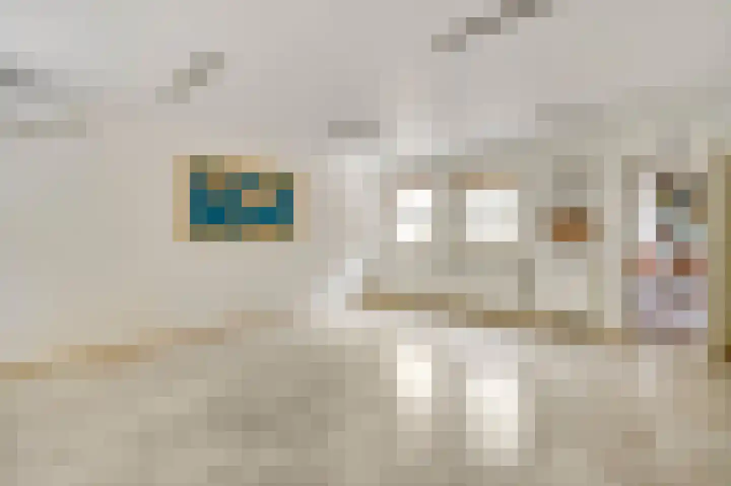 Helmesstraat 12 a Horst thumbnail 36