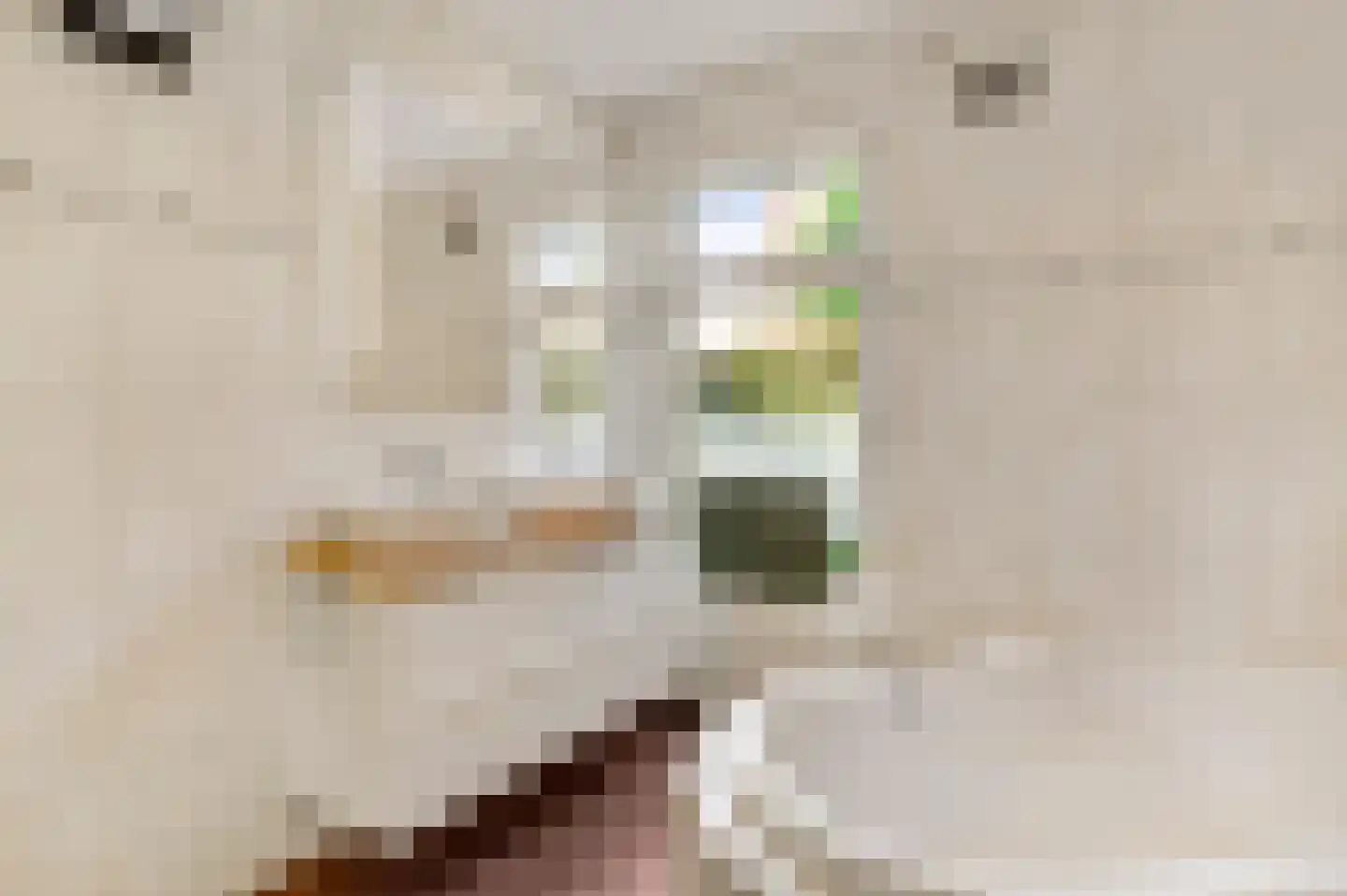 Helmesstraat 12 a Horst thumbnail 43