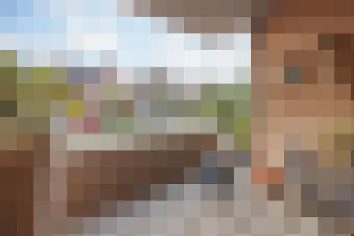 Helmesstraat 20 Horst thumbnail 12