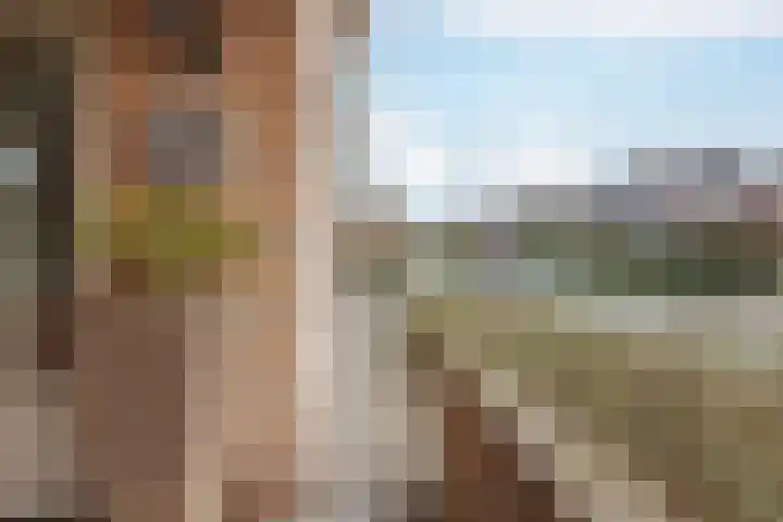 Helmesstraat 20 Horst thumbnail 14