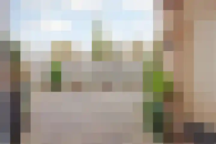 Helmesstraat 20 Horst thumbnail 27