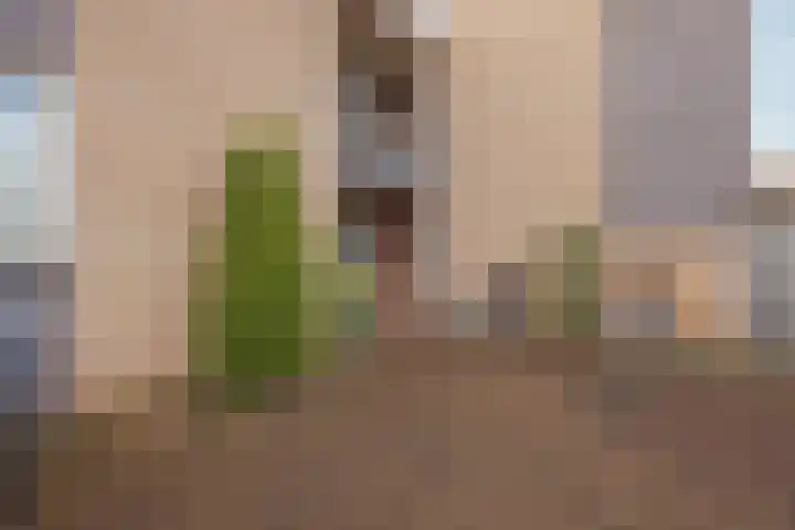 Helmesstraat 20 Horst thumbnail 29