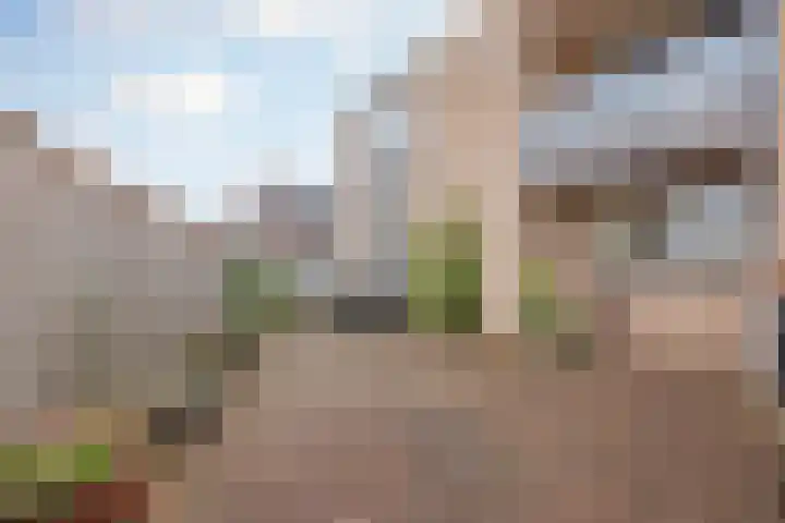 Helmesstraat 20 Horst thumbnail 30