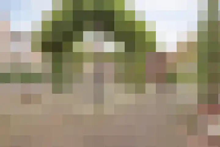 Helmesstraat 20 Horst thumbnail 33