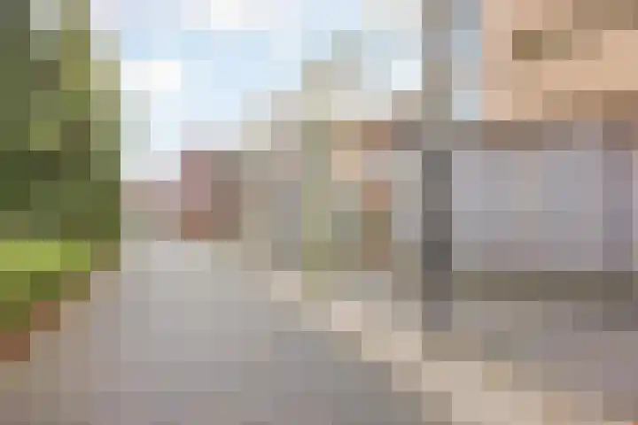 Helmesstraat 20 Horst thumbnail 35