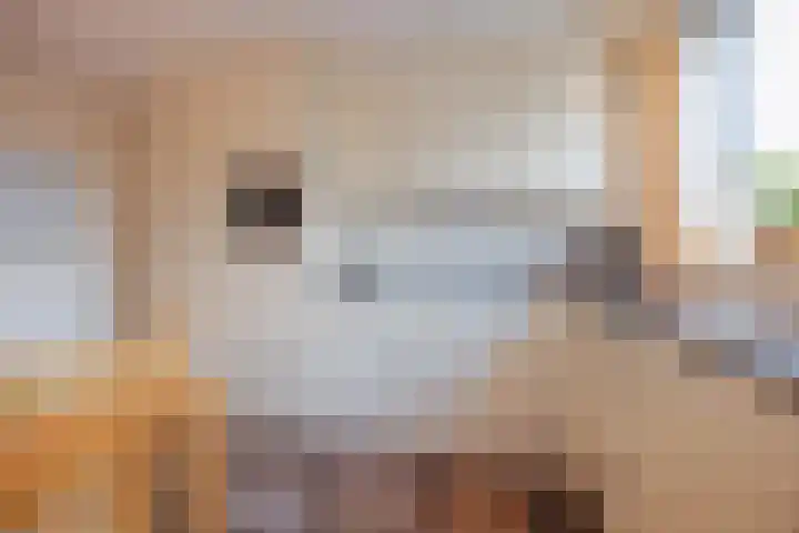 Helmesstraat 20 Horst thumbnail 4
