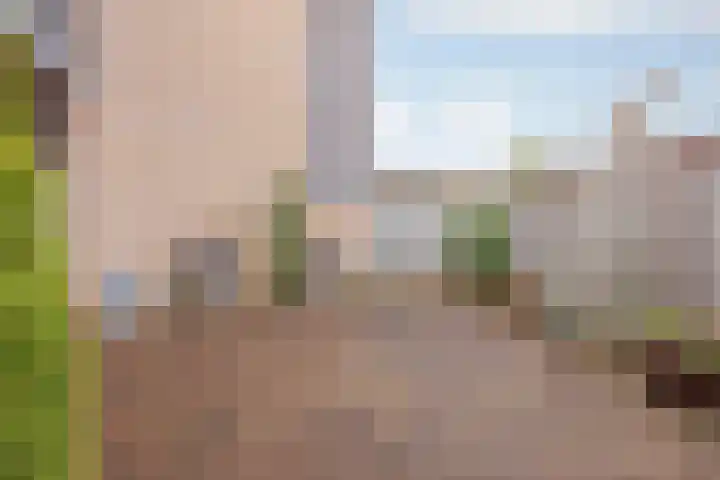 Helmesstraat 20 Horst thumbnail 6