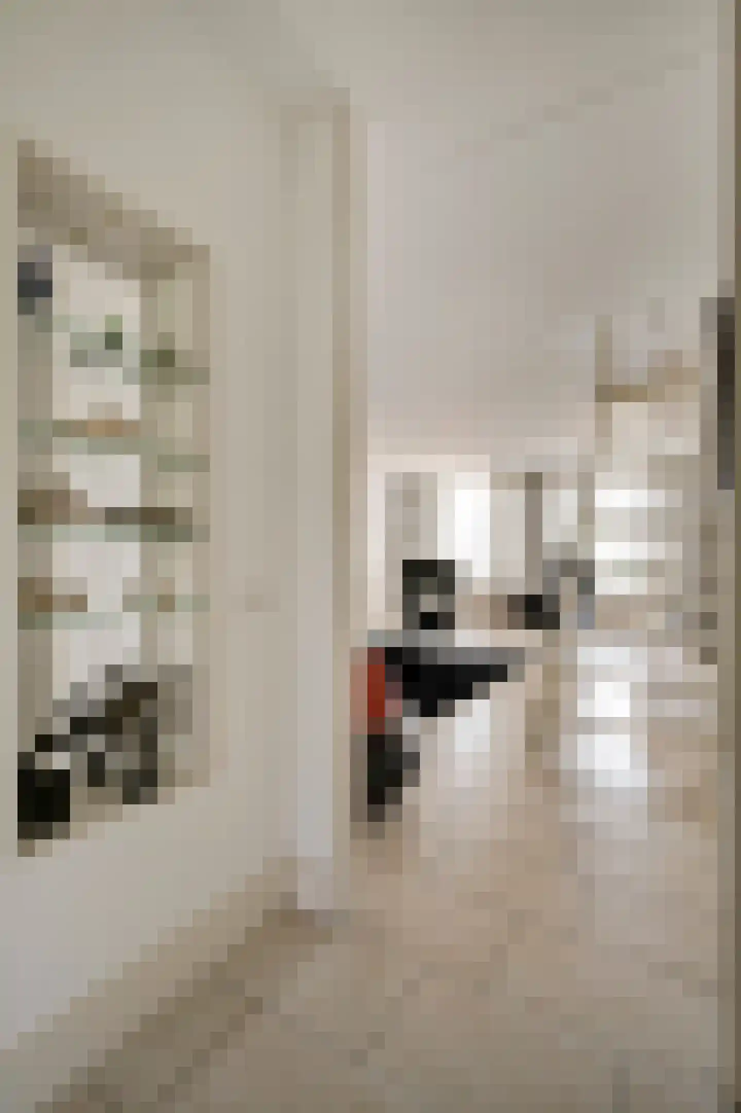 Helmesstraat 28 Horst thumbnail 11