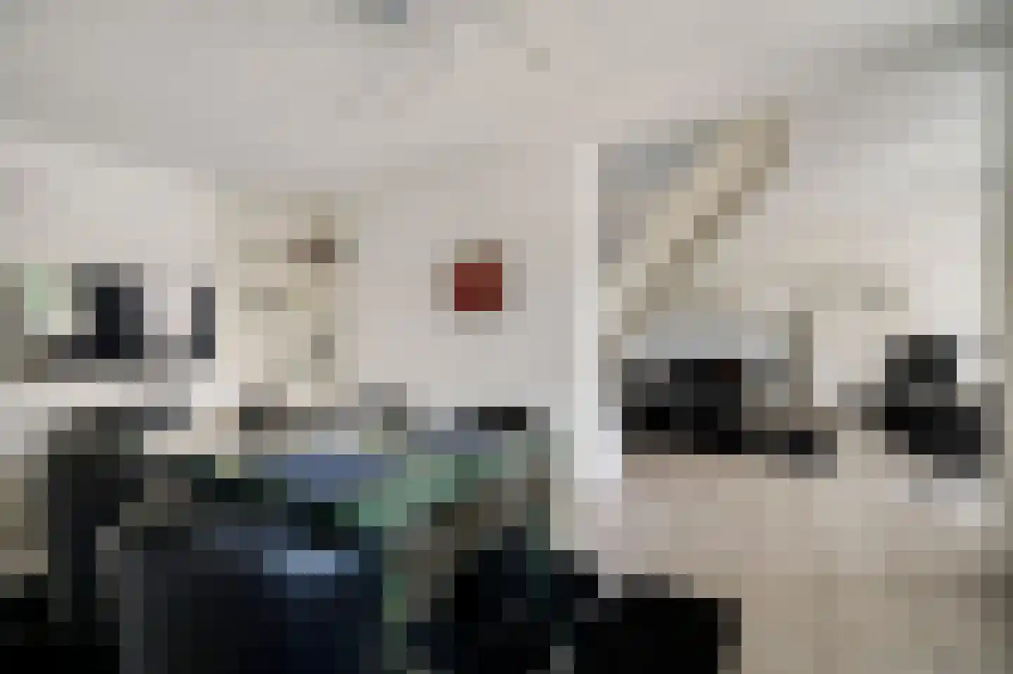 Helmesstraat 28 Horst thumbnail 18