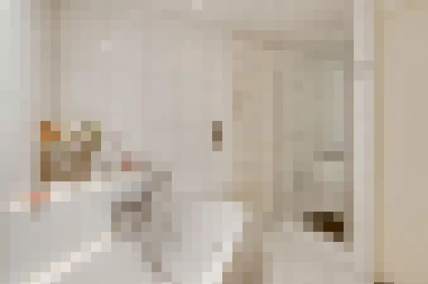 Helmesstraat 28 Horst thumbnail 27