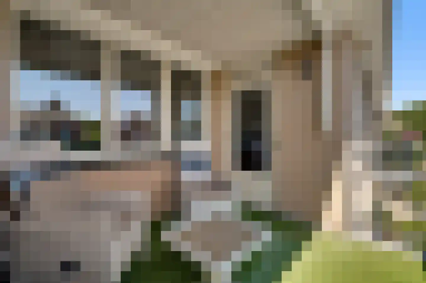 Helmesstraat 28 Horst thumbnail 5