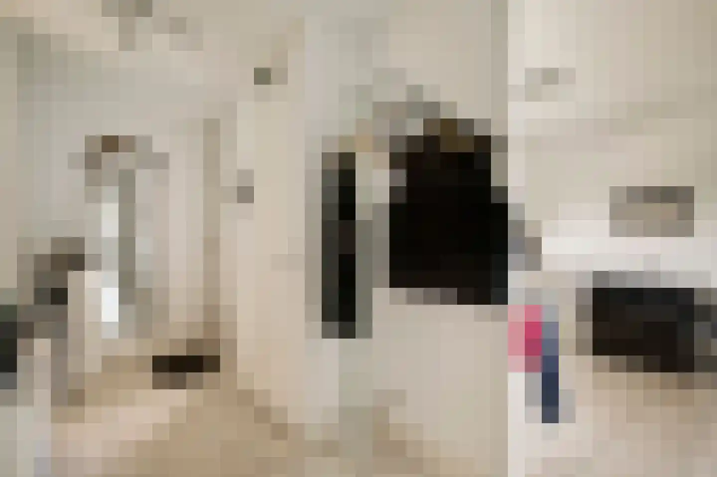 Helmesstraat 28 Horst thumbnail 8