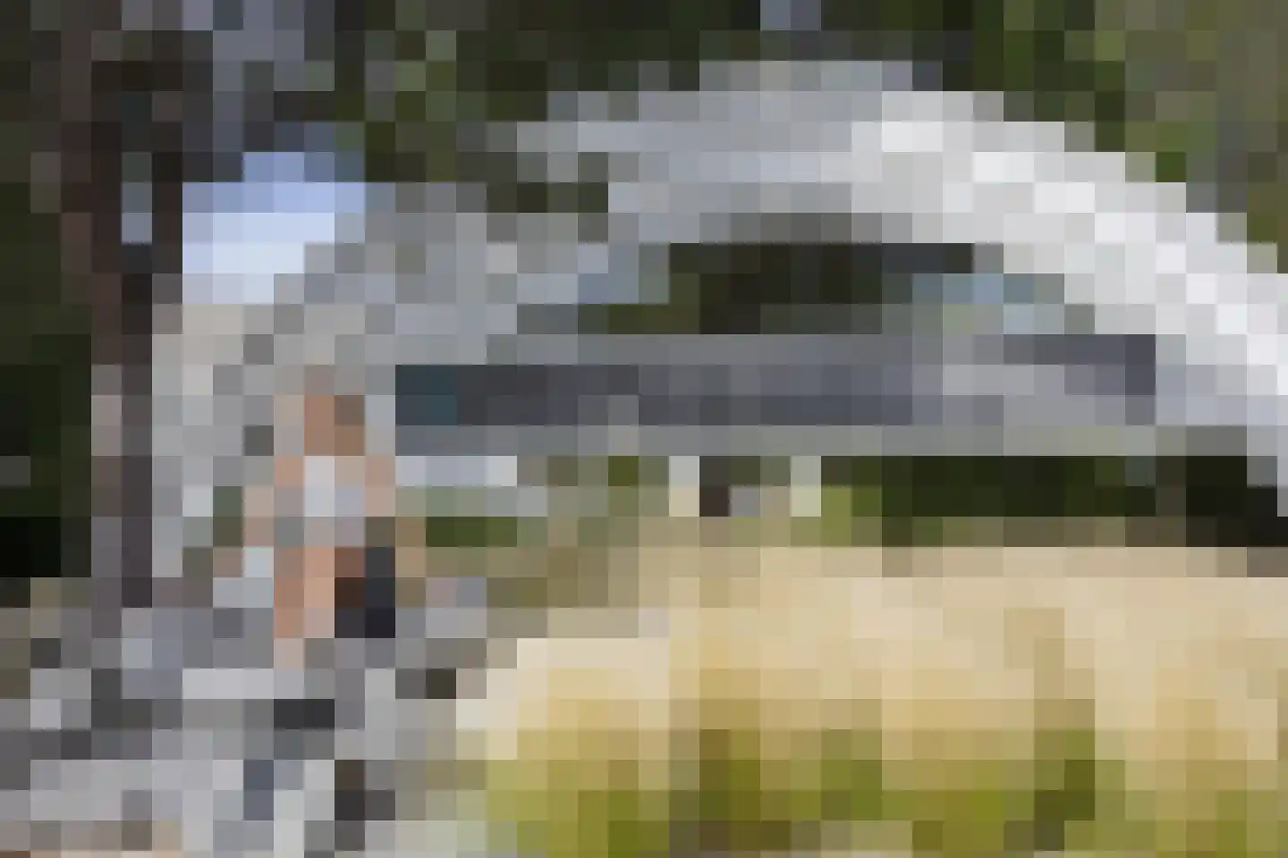 Helmgras 2 4 Kamperland thumbnail 10