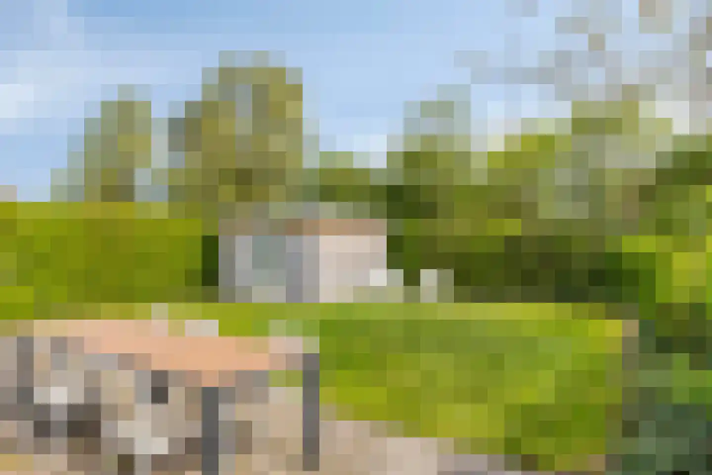 Helmgras 39 Kamperland thumbnail 28