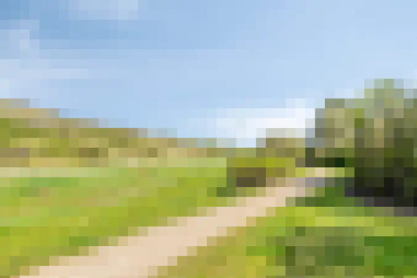 Helmgras 39 Kamperland thumbnail 31