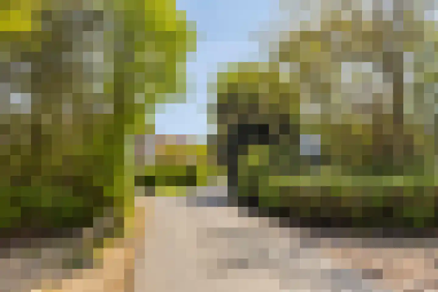 Helmgras 39 Kamperland thumbnail 32