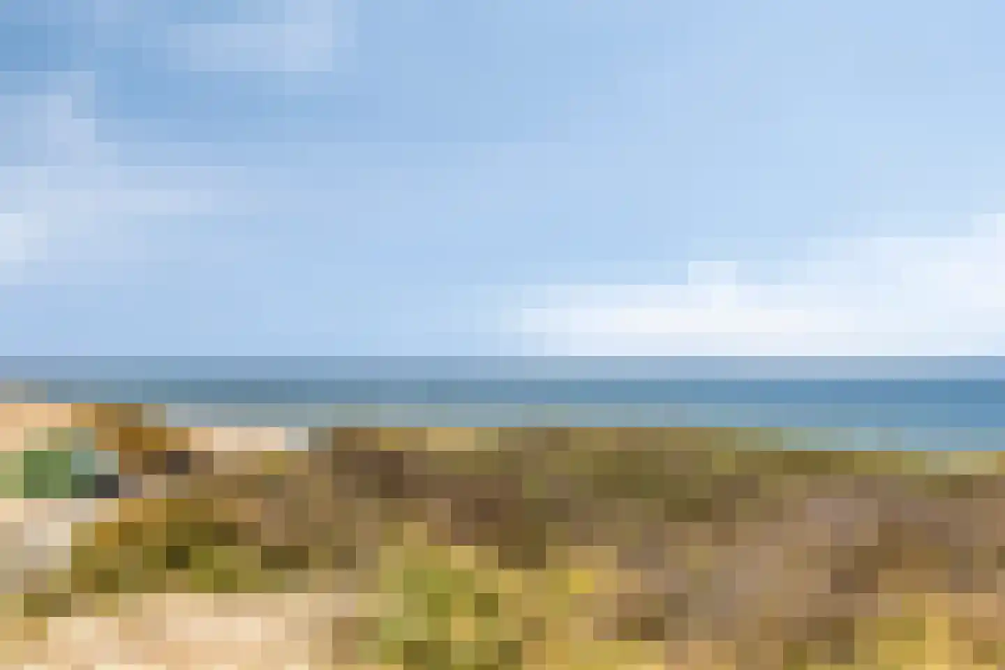 Helmgras 39 Kamperland thumbnail 35
