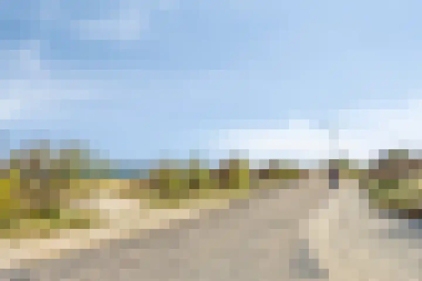 Helmgras 39 Kamperland thumbnail 36