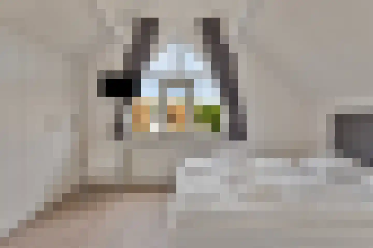 Helmgras 5 Kamperland thumbnail 11