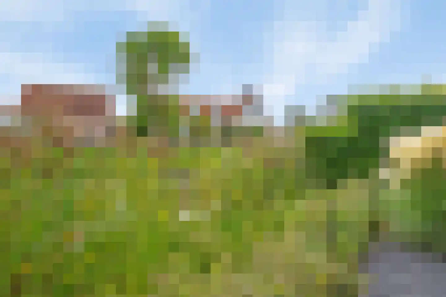 Helmgras 5 Kamperland thumbnail 18