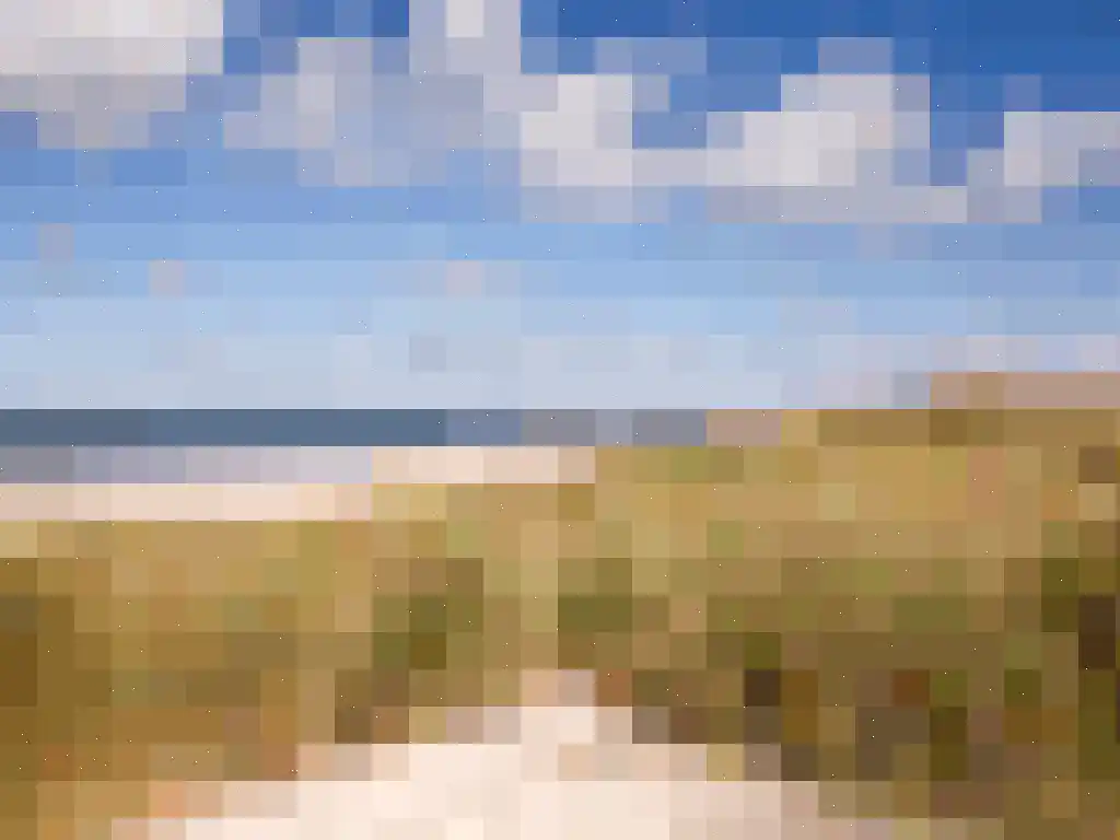 Helmgras 5 Kamperland thumbnail 20