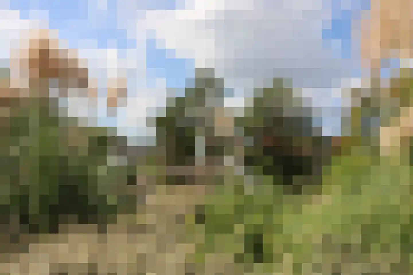 Helmgras 5 Kamperland thumbnail 22