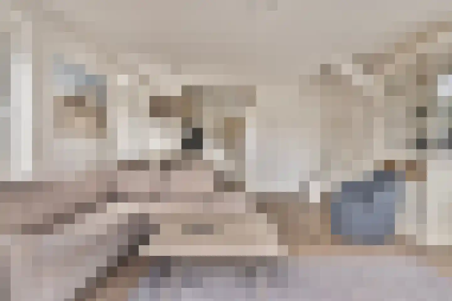 Helmgras 5 Kamperland thumbnail 5