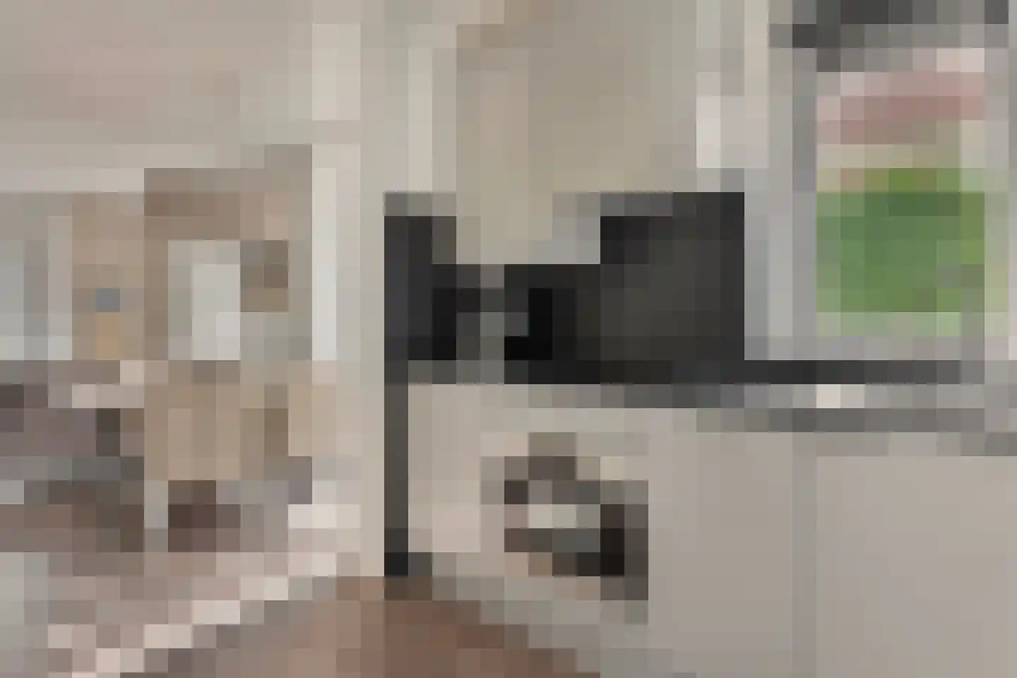 Helmgras 5 Kamperland thumbnail 7