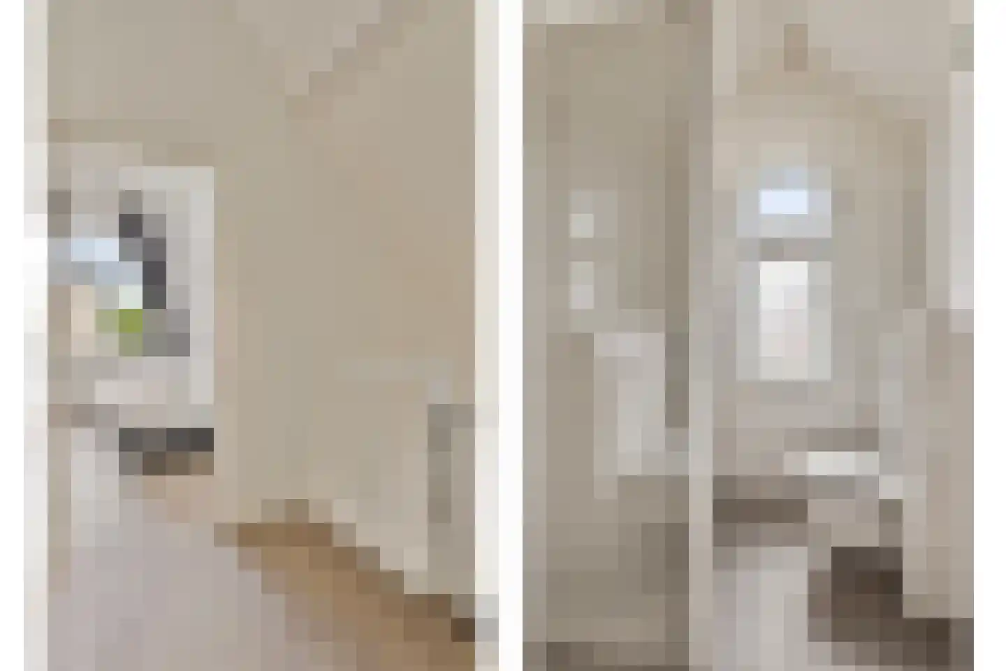 Helmgras 5 Kamperland thumbnail 9