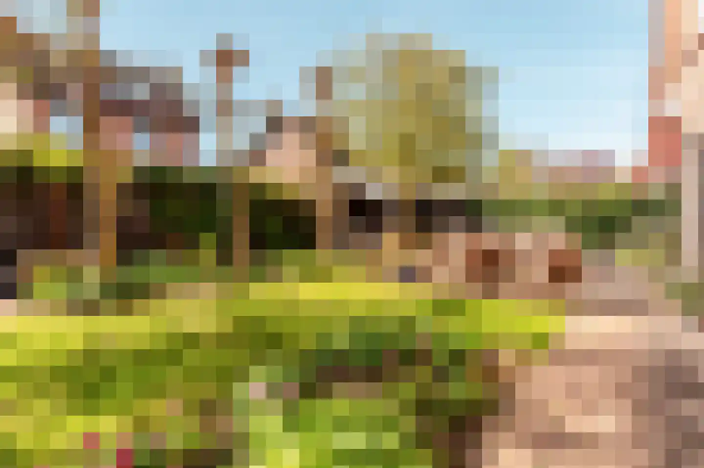 Helmgras 8 Zeewolde thumbnail 40