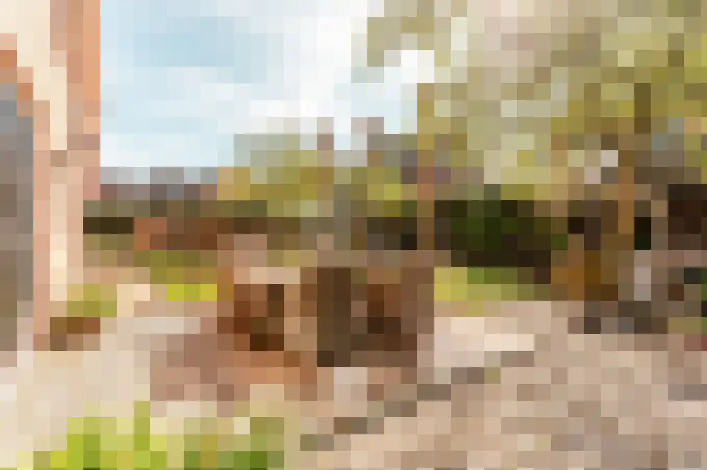 Helmgras 8 Zeewolde thumbnail 41