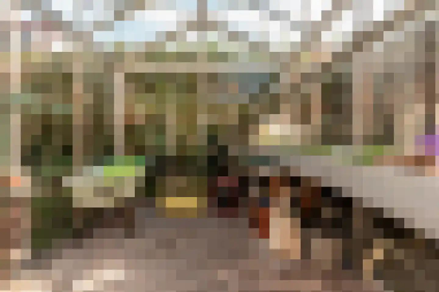 Helmgras 8 Zeewolde thumbnail 43