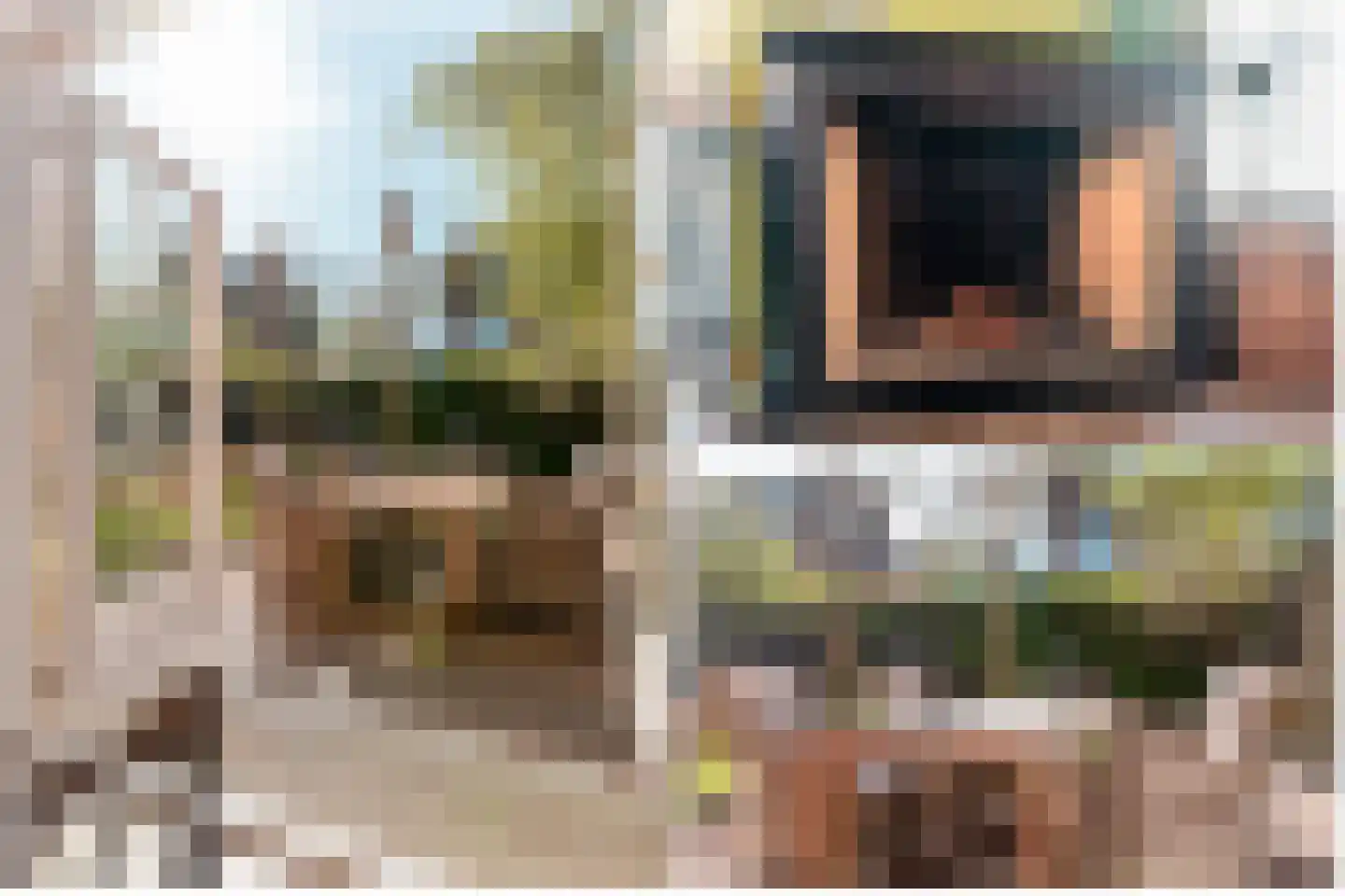 Helmgras 8 Zeewolde thumbnail 45