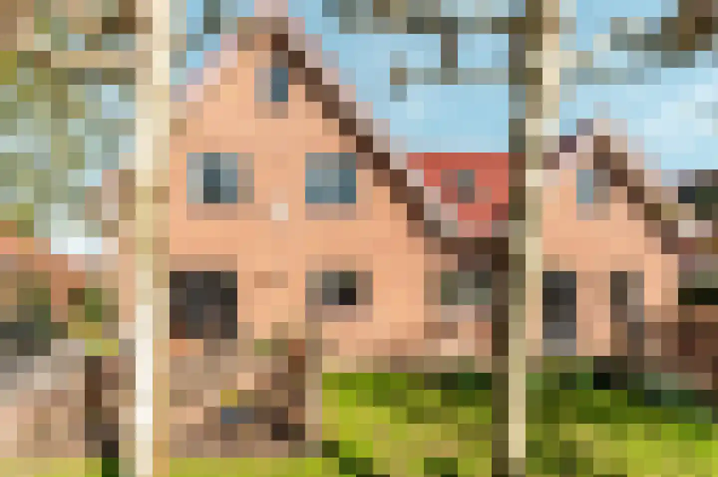 Helmgras 8 Zeewolde thumbnail 46