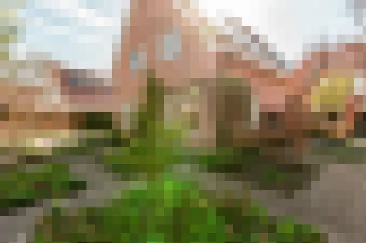 Helmgras 8 Zeewolde thumbnail 47